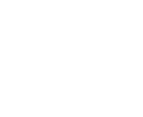 Flusso Attivo